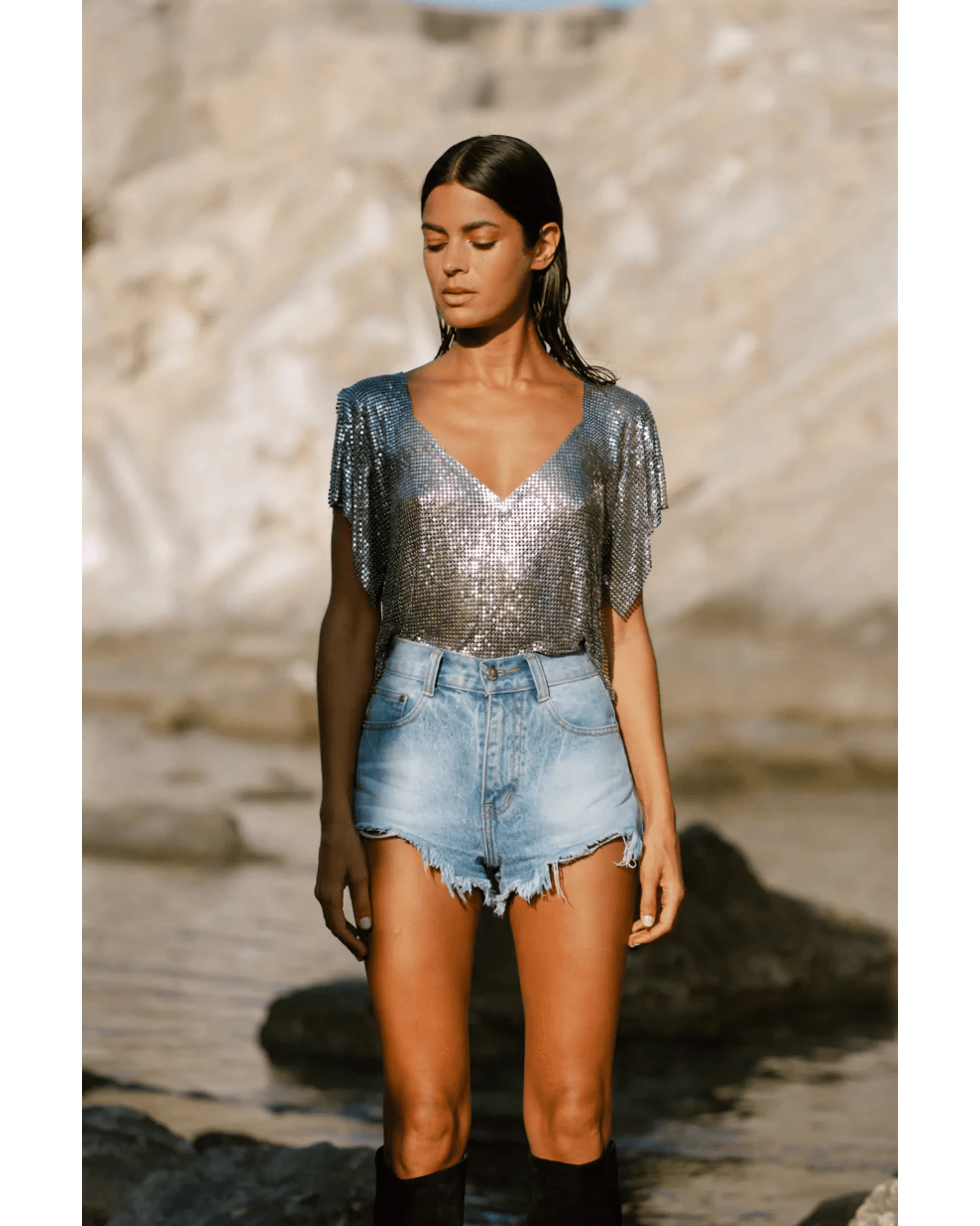 Ava V-Neck Top Silver